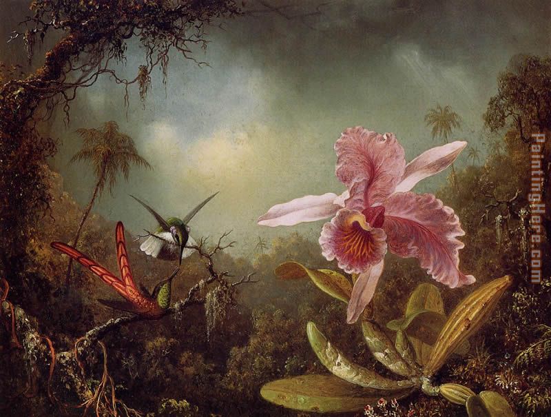 Orchid with Two Hummingbirds painting - Martin Johnson Heade Orchid with Two Hummingbirds art painting